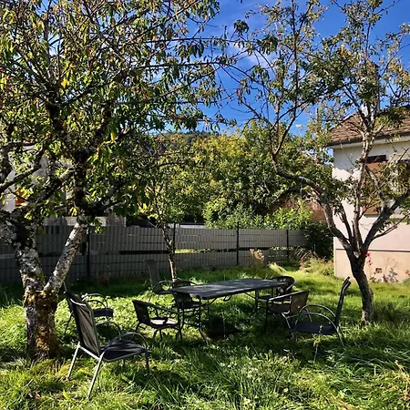 Le Giromagite Au Pied Du Ballon D'Alsace Giromagny Exterior photo