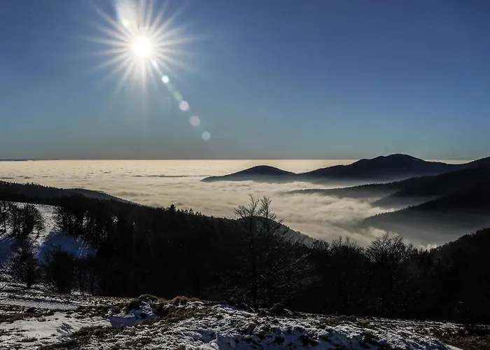 Le Giromagite Au Pied Du Ballon D\'Alsace