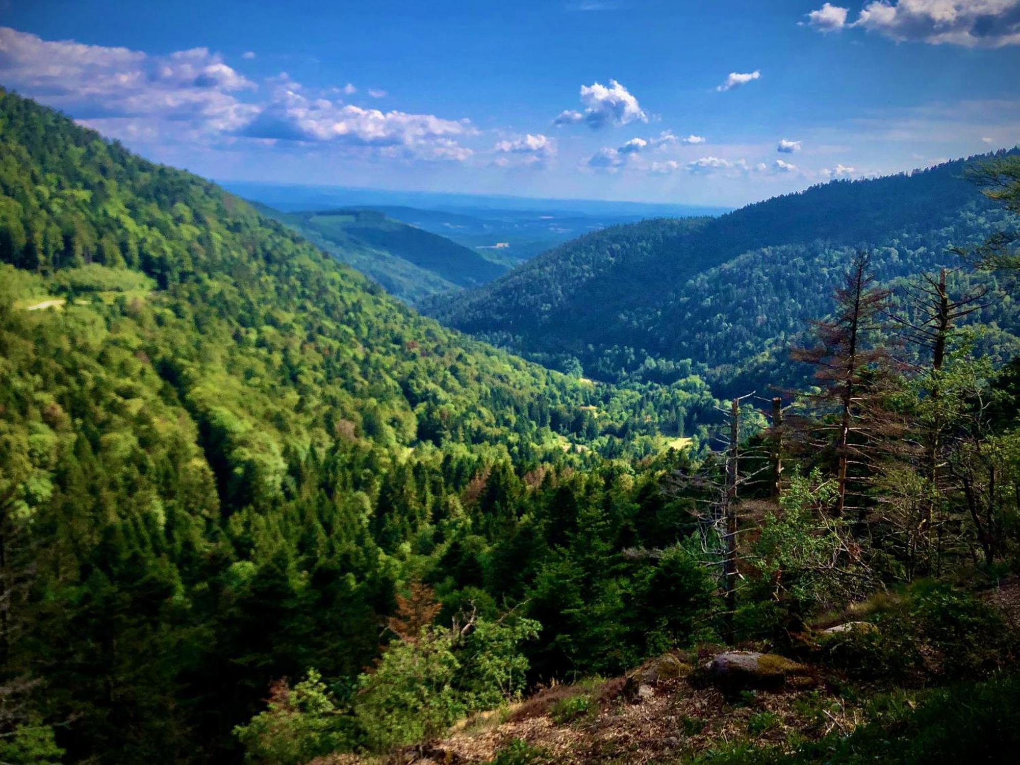 Hébergement de vacances Le Giromagite Au Pied Du Ballon D'alsace Giromagny